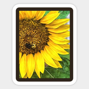 Sunflower and Bee Sticker